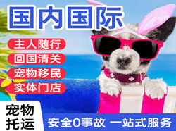 贡嘎机场邮寄国际宠物托运 【国